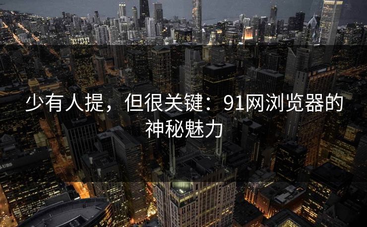 少有人提，但很关键：91网浏览器的神秘魅力