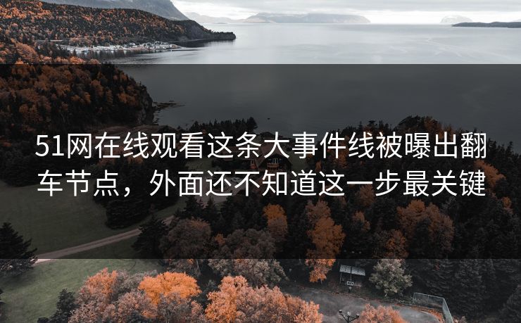51网在线观看这条大事件线被曝出翻车节点，外面还不知道这一步最关键